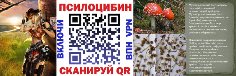 где продают наркотики  блэк спрут ТОР  Галлюциногенные грибы Psilocybe  Барабинск 